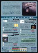 チラシ裏 チラシ裏