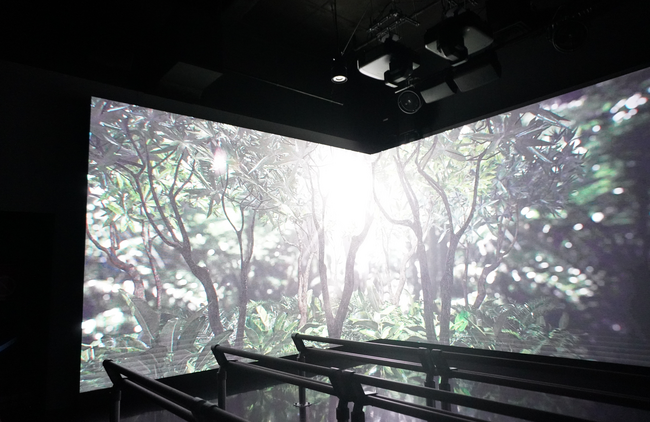 DMMかりゆし水族館に多面大型LEDビジョンを導入！大迫力の4D演出で沖縄の絶景を巡る没入型シアターが誕生