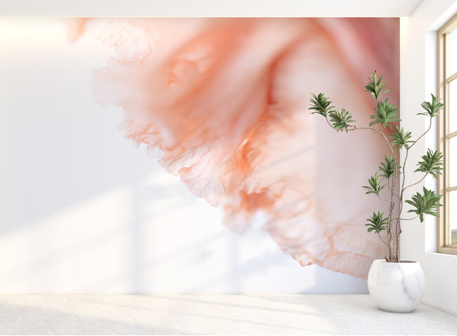 壁紙ブランド「WhO（フー）」、クリエイターがデザインのバトンを繋いでいく企画から新柄2点を発表。写真家がダイナミックに切り取る被写体の個性