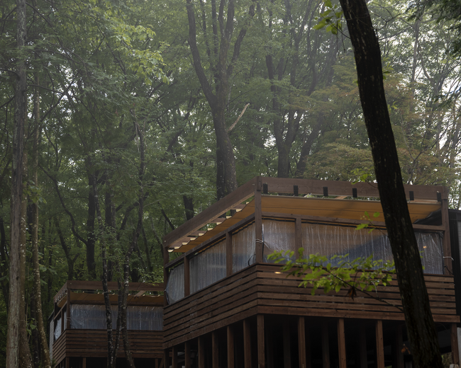 エリア最大級！大自然のドッグラン併設 NAGI -dog glamping ena-　新規開業のお知らせ