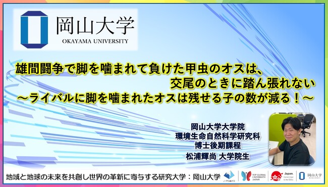 【岡山大学】雄間闘争で脚を噛まれて負けた甲虫のオスは、交尾のときに踏ん張れない～ライバルに脚を噛まれたオスは残せる子の数が減る！～