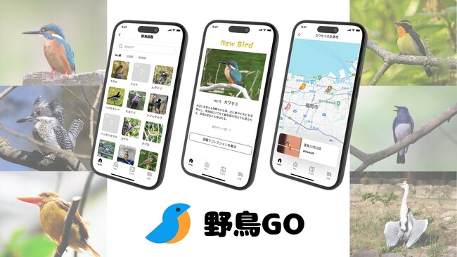 野鳥図鑑のコンプリートを楽しむエンタメアプリ「野鳥GO」発表!事前登録も受付中