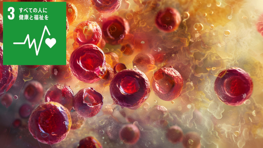 造血幹細胞の発生過程を試験管内で再現することに成功