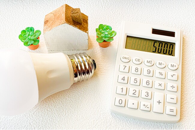 自宅の照明をLEDに買い替えて節電＆豊橋の農産物も当たる!?キャンペーン実施中！