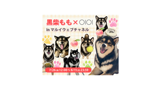 SNSで人気のわんちゃんとコラボ！「黒柴もも×OIOI in マルイウェブチャネル」を開催！