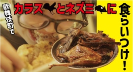 歌舞伎町で野生のカラスとネズミに食らいつけ！新宿でもっともディープでカオスなエリア“思い出の抜け道”の隠れ家酒場「寺子屋」で今夏の特別メニューとして提供します！