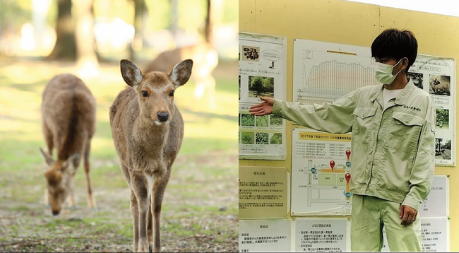 【奈良ホテル】夏休みの自由研究にも最適！国の天然記念物「奈良のシカ」を学ぶ　ご家族で宿泊して楽しみながら学べる体験プログラム付き『奈良の鹿愛護会ツアー付プラン ～朝食付き～』について
