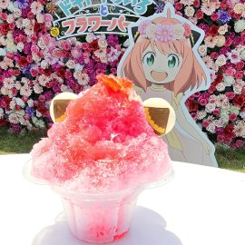 ▲マカロンが可愛い「アーニャのドキドキかき氷」 ▲マカロンが可愛い「アーニャのドキドキかき氷」