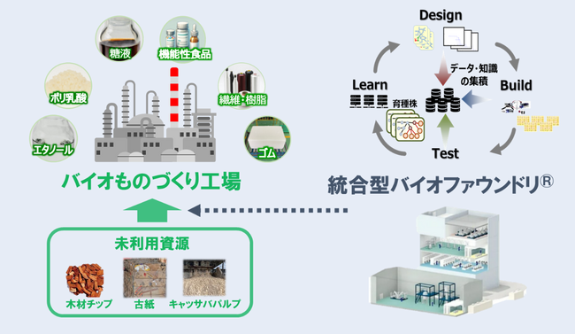 「木質等の未利用資源を活用したバイオものづくりエコシステム構築事業」がNEDOバイオものづくり革命推進事業に採択
