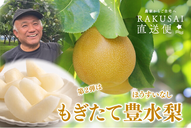 大田市場直送便！