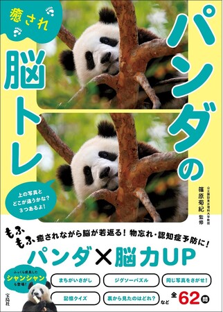 【シャンシャンの貴重なカットも収録！】　見ているだけで癒されるパンダの脳トレブック　7/30発売