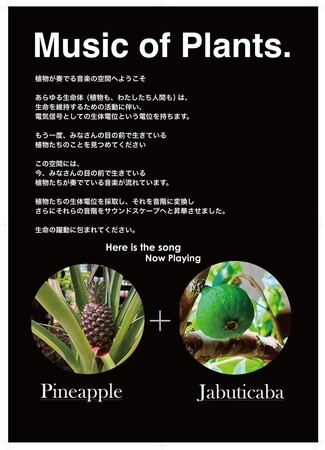 【渋谷区ふれあい植物センター】リニューアルオープン1周年記念イベント「真夏のカカオ祭り」（カカオの音楽ライブ演奏会、渋谷クラフトチョコレートプレゼント、クラフトチョコレート作り）を実施します。