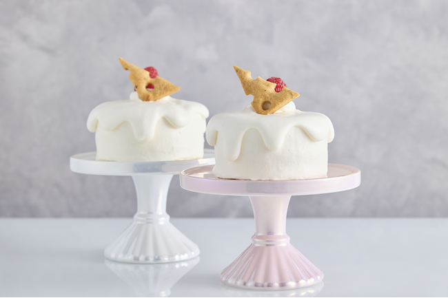【大人気：歌舞伎町のショートケーキ専門店 8月の新商品】コラボ企画で熟成バスクチーズのショートケーキをご提供