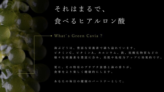 閉鎖循環式室内養殖による海ぶどう（伊勢志摩産）の生産・販売を開始