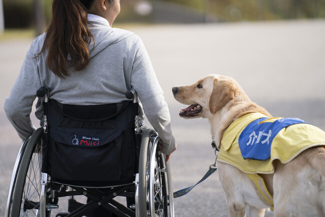 介助犬支援のチャリティープロジェクト！！　　　　　　　　　　　　　１０年後の未来へ贈る手紙「時の便り」をクラウドファンディングで限定発売！！