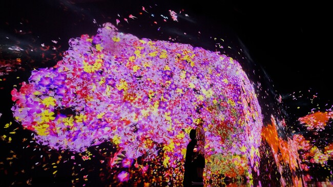 チームラボ、シンガポールの常設展「teamLab Future World」で、新たに3作品を公開。既存作品も複数リニューアル。