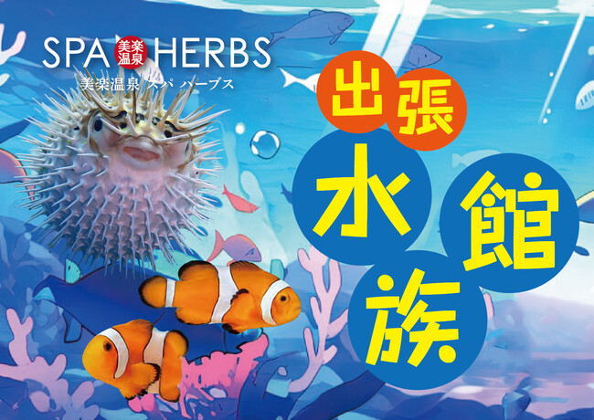 【夏休み特別イベント！】埼⽟最大級のスパリゾート「美楽温泉 SPA-HERBS」で出張水族館を期間限定で開催！