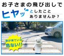 お子さまの飛び出し防止に お子さまの飛び出し防止に