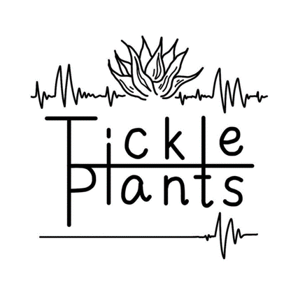 【アトレ四谷】2階「JINS」が永山祐子氏の設計で2024年8月8日(木)にリニューアルオープン！