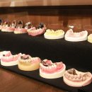 悩みによって適切な入れ歯選びが大切 悩みによって適切な入れ歯選びが大切