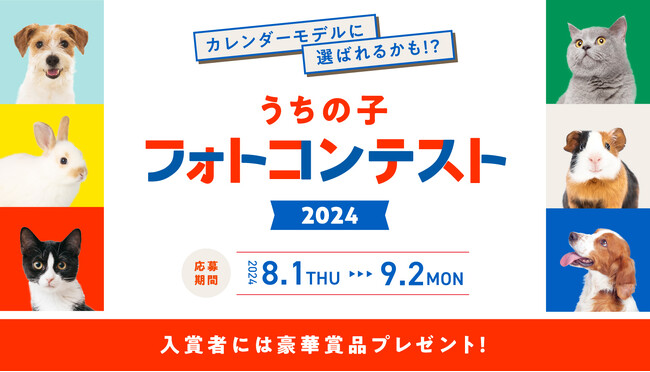 アイペット「うちの子フォトコンテスト2024」投稿キャンペーン開始