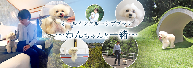 【Wan's Resort 城ヶ崎海岸】愛犬と泊まれるリゾートホテルが24年10月1日よりグループ初となるオールインクルーシブサービスの提供を開始