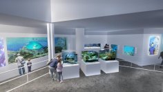 城崎マリンワールドの魚類展示エリア「SeaZoo」7月25日リニューアルオープン
