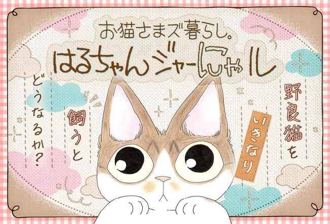 コイン配布の新連載記念キャンペーンも実施！野良猫をいきなり飼うとどうなるか？「お猫さまズ暮らし。　はるちゃんジャーにゃル」マンガParkで連載開始！