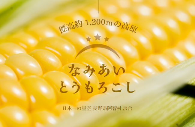 【日本一の星空】長野県阿智村　高原で育った甘い「なみあい とうもろこし」ECサイトにて販売開始