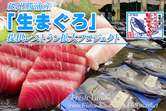 和歌山県那智勝浦町とふるさとチョイス、ふるさと納税制度を活用したガバメントクラウドファンディング(R)で、那智勝浦町の特産「生まぐろ」を通じた水産業の活性化を目的としたプロジェクトを開始