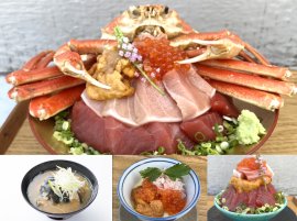 株式会社夢タカラ 夏の熱海でおさかな祭り! 株式会社夢タカラ 夏の熱海でおさかな祭り!