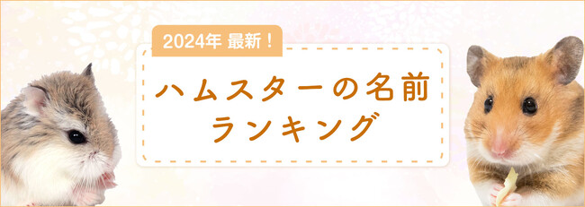 SBIプリズム少短【2024年最新】ハムスターの名前ランキングを発表！