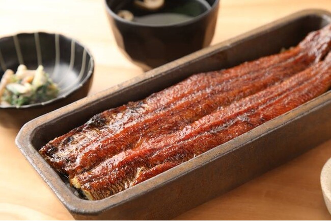 多摩エリア初出店！昭和7年創業の老舗鰻卸問屋直営のうなぎ料理店『うなぎ四代目菊川』がGREEN SPRINGSにオープン（9月1日（日）／JR立川駅北口）