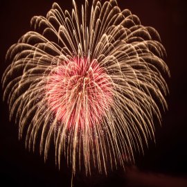 秋吉台の夜に咲く大輪の花 秋吉台の夜に咲く大輪の花