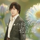 ハルジオンの花言葉_Aタイプ ハルジオンの花言葉_Aタイプ