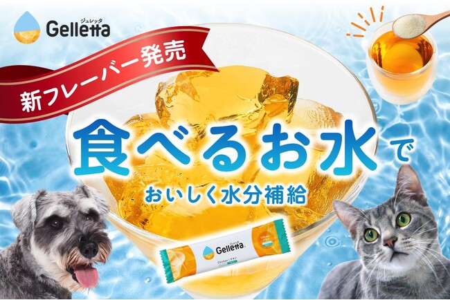 食物アレルギーを持つ犬猫のための新フレーバーを開発したい！ 水分補給に特化した犬猫用ゼリーの素「ジュレッタ」クラウドファンディング開始