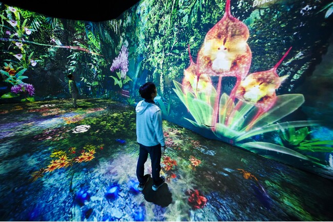 シンガポールの国立公園ガーデンズ・バイ・ザ・ベイとネイキッドが初コラボ　プロジェクションマッピング展『The Hidden Forest』を発表