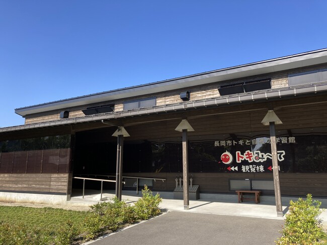 【JAF新潟】「JAFデーinトキと自然の学習館」を開催します!