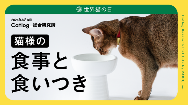 世界猫の日（8月8日）に猫様のQOLに関する調査「猫様の食事と食いつき」のレポートを発表！