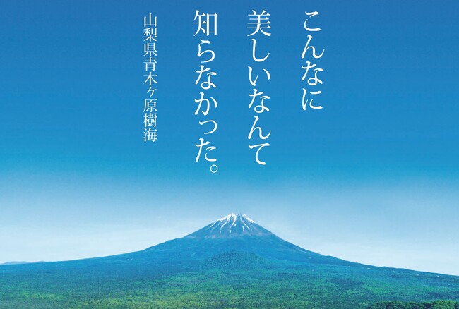 こんなに美しいなんて知らなかった。いのちを育む青木ヶ原樹海の自然に触れる「健やか樹海ウォーキング」を開催します！