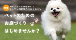 愛知県西三河エリアで「ドッグラン」施工メニューを新たに充実！住宅向けから商業用まで幅広く、理想のドッグランを実現