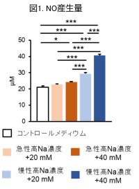 高ナトリウム血症がミクログリアへ及ぼす影響