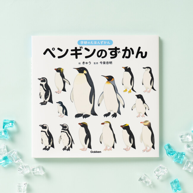 【たちまち重版！】ペンギンのことがまるごとわかる絵本のような図鑑『ペンギンのずかん』が大好評！　この夏はペンギンをみて涼を感じましょう♪