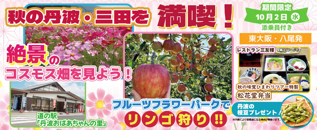 お一人様13,800円！〈東大阪・八尾 発着〉10月2日(水) 秋の丹波・三田を満喫！絶景のコスモス畑を見よう！リンゴ狩り(食べ放題)・丹波の黒豆プレゼント。〈添乗員付き〉日帰りバスツアー