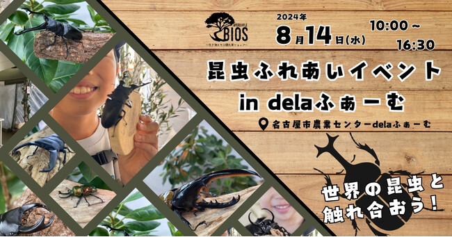 【アペロヒューレ・ビオス】今年の夏も世界の昆虫たちがdelaふぁーむにやってくる！