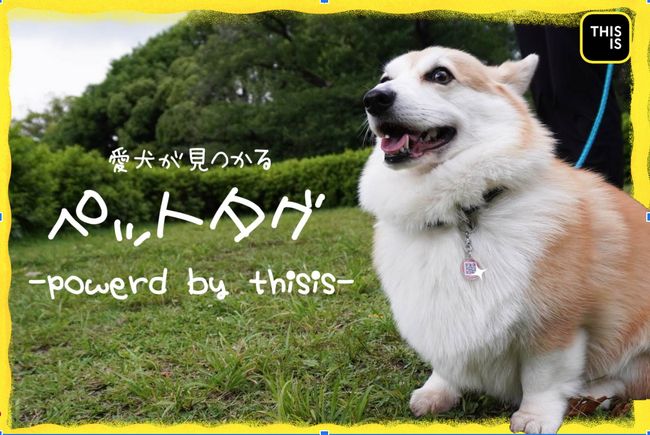 【大事なペットの迷子・災害対策に】 見つけたら、QRコードで直接飼い主にお知らせ！* 充電不要でGPS情報も送れる最新型ペットタグを8/13(火)にクラウドファンディングを開始