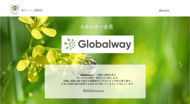 【Globalway】琉球大学「琉大ハニー養蜂部」のオフィシャルスポンサーとして認定されました