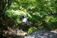 厳しい残暑は、名水がせせらぐボスコ・オートキャンプ場へ！地元精肉店・人気TikTokアカウントとコラボしたバーベキューセット、イルミネーションテントなどの新サービス、特別キャンペーンも。