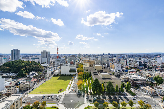 株式会社ライジング（代表取締役：大島 積生）、次世代型AI搭載ホームページの販売パートナーを栃木で募集