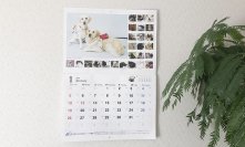 【8月24日締切！】ペットと一緒に補助犬を応援！2025年カレンダーのお写真を大募集！